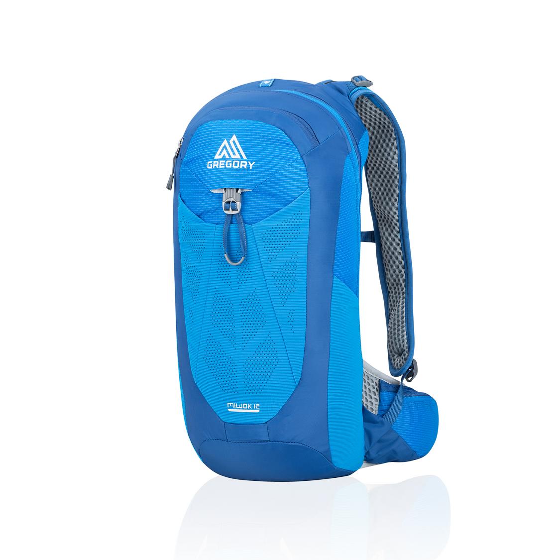 Men Gregory Miwok 12 Hiking Backpack Blue Usa RVJS87954